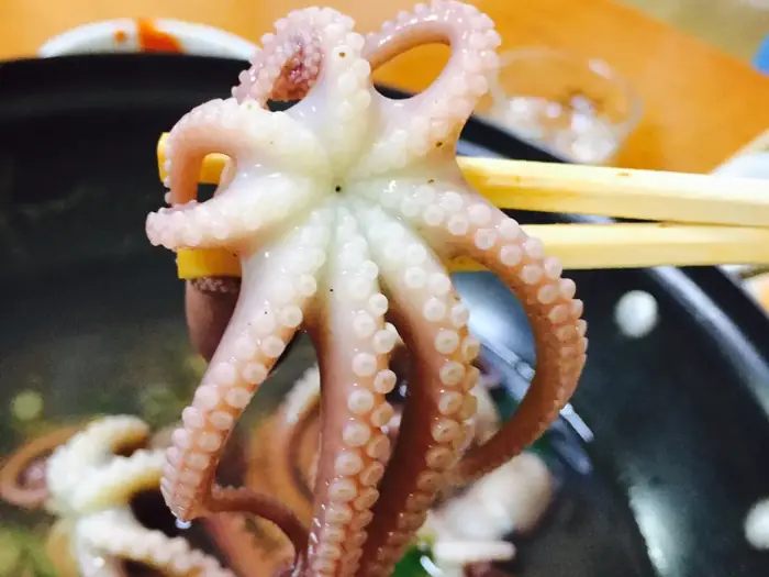주꾸미